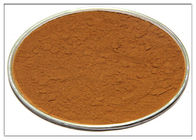 Kosmetyczny rozmarynowy ekstrakt przeciwutleniający, ekstrakt rozmarynowy w proszku CAS 20283 95 5