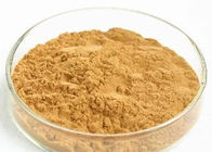 Anti Cancer Dandelion Root Powder Natural Extraction Poprawia funkcję wątroby