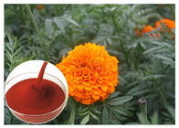 Aksamit Erecta Flower Natural Flower Extracts Powder Zapobiegający zdrowiu oczu