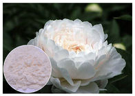 Odnowa skóry Naturalne składniki kosmetyczne Off Biały kolor Paeonia Lactiflora Powder