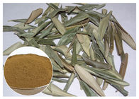 Hydroksytyrosol 20% czysty ekstrakt z liści oliwnych, proszek z liści oliwnych CAS 32619 42 4