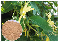 Przeciwzapalny ekstrakt z kwiatu wiciokrzewu, 5% kwasu chlorogenowego Lonicera Japonica Extract