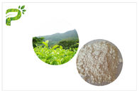 Ekstrakt z zielonej herbaty EGCG, Ekstrakt z zielonej herbaty o właściwościach farmaceutycznych