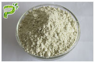 Roślina Źródło Naturalne suplementy diety Białkowe ekologiczne nasiona konopi Protein protein Powder 50% 60%