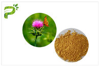 Jasnożółty ekstrakt z rośliny Ekstrakt z proszku Naturalny składnik Ekstrakt z nasion ostropestu w medycynie wątroby