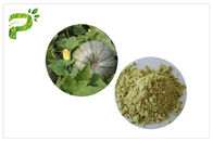 Roślina Źródło Naturalne suplementy diety Proszek z pestek dyni Proteiny wegańskie 50% 60%