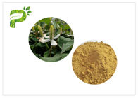 Houttuynia Pure Natural Plant Extracts Forma w proszku do kontroli wagi