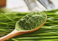 100 Mesh Green Health Powder Sok z jęczmienia w proszku do suplementów diety