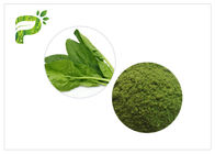 8,0% Ash Green Health Powder Wyciąg z liści szpinaku w proszku 20 kg / pudełko