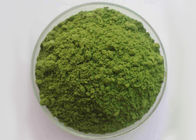 8,0% Ash Green Health Powder Wyciąg z liści szpinaku w proszku 20 kg / pudełko