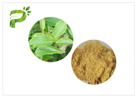 2,0 ppm 60 Mesh Green Health Powder HPLC z wyższymi polifenolami herbaty