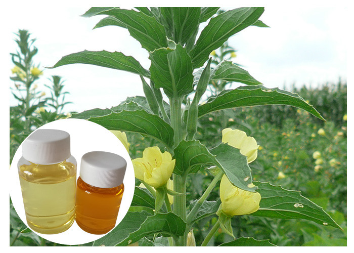 Women Menopauza Naturalne suplementy diety GLA 10% Yellow Evening Primrose Oil