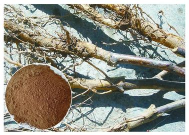 Wyciąg z korzenia jabłoni Czysty ekstrakt z roślin naturalnych, ekstrakcja roślin leczniczych CAS 60 82 3