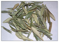 Przeciwzapalny naturalny ekstrakt z liści oliwnych Puder redukujący zły cholesterol