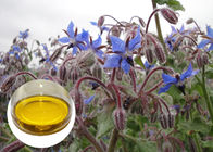 Oleje roślinne z nasion ogórecznika Omega 6 GLA Przeciwutleniacze do wyprysku
