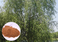 Salicyna 98% ekstrakt z białej kory wierzby, proszek z białej kory wierzby CAS 138 52 3