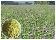 Jasnożółty ziołowy ekstrakt z nasion ostu mlecznego Niższy krwisty tłuszcz CAS 65666 07 1