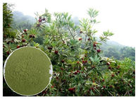 Myricetin 10% - 95% Naturalne przeciwzapalne suplementy Bayberry Root Bark Powder