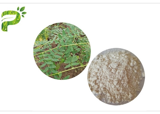 CAS 84687 43 4 Astragalus Membranaceus Extract Astragaloside IV 98% Anti Aging