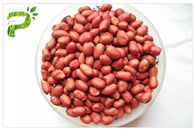 Suplement diety Peanut Extract Proanthocyaindins PACs Ciemnoczerwony kolor