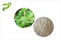 CAS 989 51 5 EGCG Ekstrakt z zielonej herbaty Gatunki kosmetyczne Epigallocatechin Gallate Ingredient