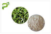 Antybakteryjne naturalne suplementy diety, pasta do zębów EGCG Ekstrakt z zielonej herbaty CAS 989 51 5