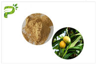 Naturalny ekstrakt roślinny w proszku Przeciwzapalny Mangiferin z liści mango