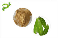 Naturalne suplementy przeciwzapalne Mangiferin, ekstrakt z liści mango CAS 4773 96 0