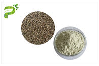 Roślina Źródło Naturalne suplementy diety Białkowe ekologiczne nasiona konopi Protein protein Powder 50% 60%