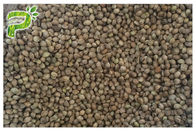 Ekologiczny proszek z nasion konopi siewnych białka w proszku Ziołowe ekstrakt roślinny Suplement diety