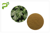 Hedera Helix Hederacoside Plant Extract Powder Ivy Leaf Extract Lecz kaszel i przeziębienie