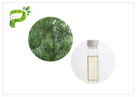 Naturalne oleje roślinne Eucalyptus Globulus 8000 48 4 Bezbarwna lub jasnożółta ciecz