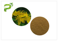 Dziurawiec Hypericin Hyperoside Herbal Extract Powder CAS 548 04 9