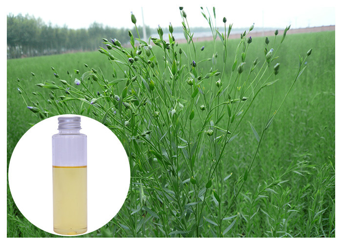 Alpha Linolenic Acid Organic Flaxseed Oil, Suplementy oleju lnianego 45 - 60%