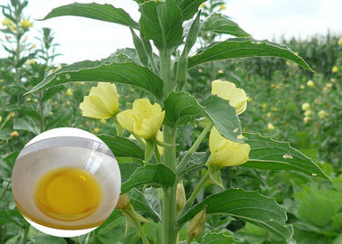 PMS Organiczne oleje roślinne Suplement diety Dodatkowy olej z wiesiołka na kapsułki