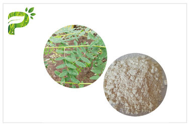 CAS 84687 43 4 Naturalne suplementy diety Astragaloside IV Astragalus Membranaceus Extract