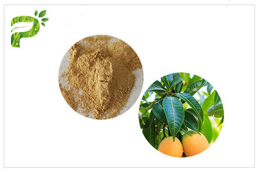Wyciągi roślin przeciwbakteryjne Mangiferin Proszek z liścia mango CAS 4773 96 0